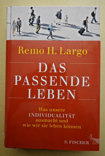 Remo lago das - remo,